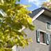 Thumbnail Image 2